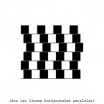 Cuatro Cuatros 180 illusion