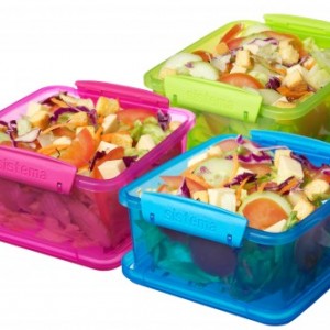 Lunch Plus BPA fri madopbevaring 3 farver med fyld