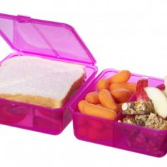 Sistema LunchCube pink med snacks BPA fri